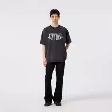 XINYINSU T