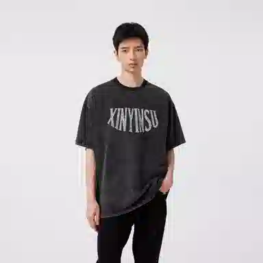 XINYINSU T