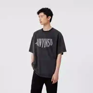 XINYINSU T
