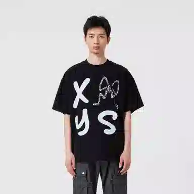 XINYINSU T