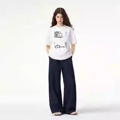ICONS Lab ICS T