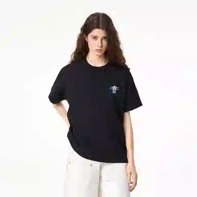 ICONS Lab ICS T