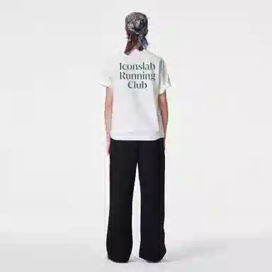 ICONS Lab ICS T