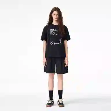 ICONS Lab ICS T
