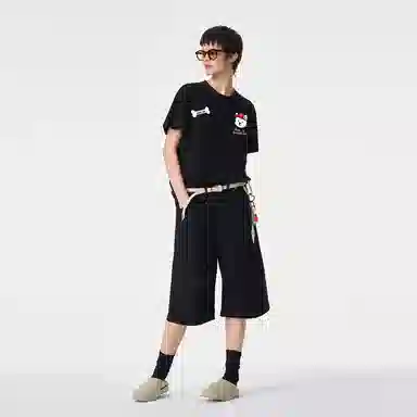 ICONS Lab ICS T