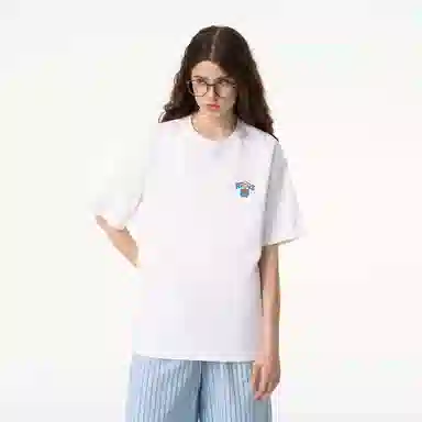 ICONS Lab ICS T