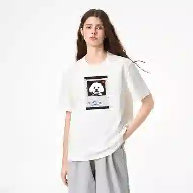 ICONS Lab ICS T