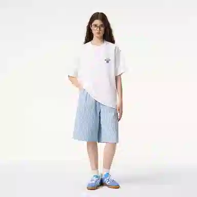 ICONS Lab ICS T