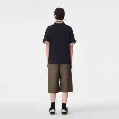 ICONS Lab ICS T
