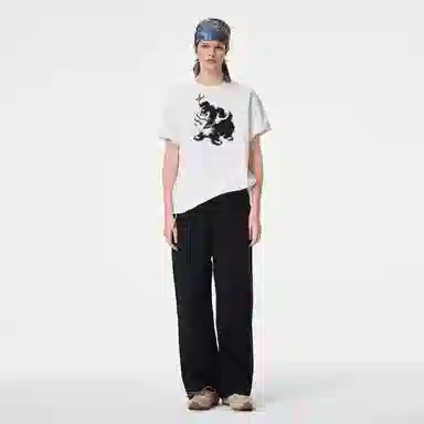 ICONS Lab ICS T