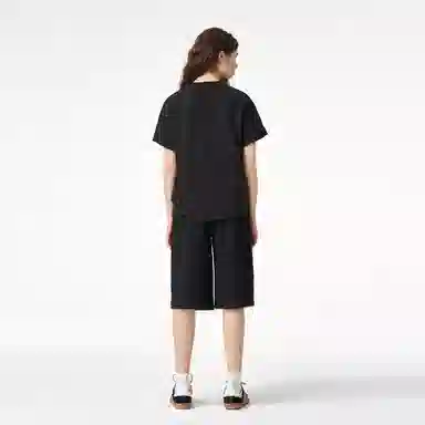 ICONS Lab ICS T