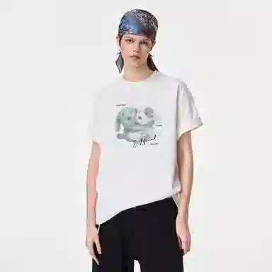 ICONS Lab ICS T