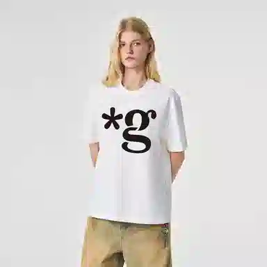ICONS Lab ICS T