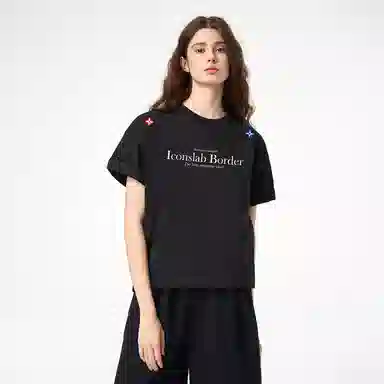 ICONS Lab ICS T