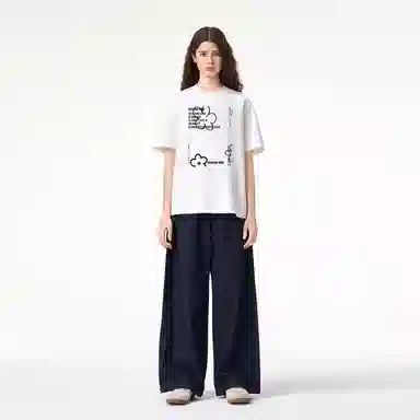 ICONS Lab ICS T