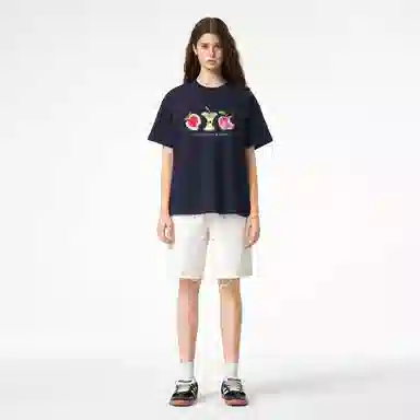 ICONS Lab ICS T