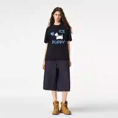 ICONS Lab ICS T