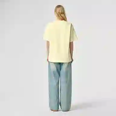ICONS Lab T