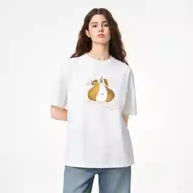 ICONS Lab ICS T