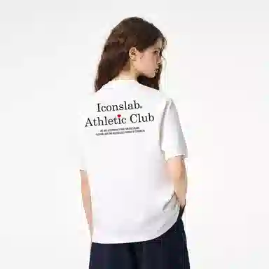 ICONS Lab ICS T