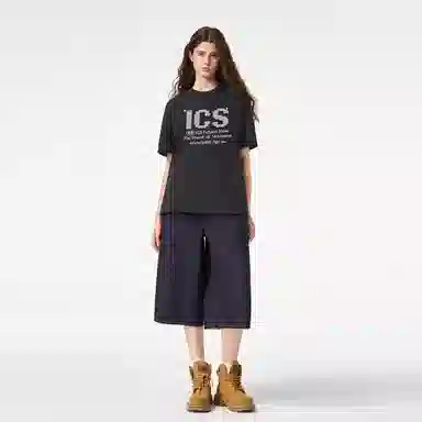 ICONS Lab ICS LogoT