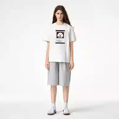 ICONS Lab ICS T