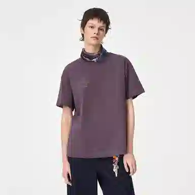 ICONS Lab ICS T