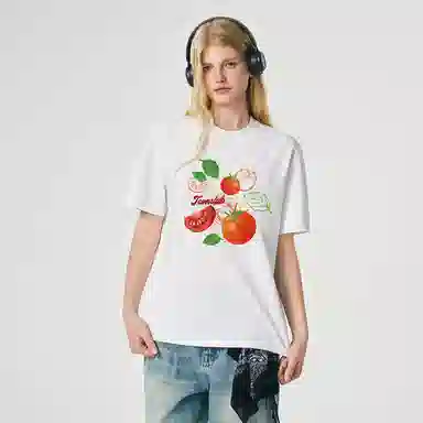ICONS Lab ICS T