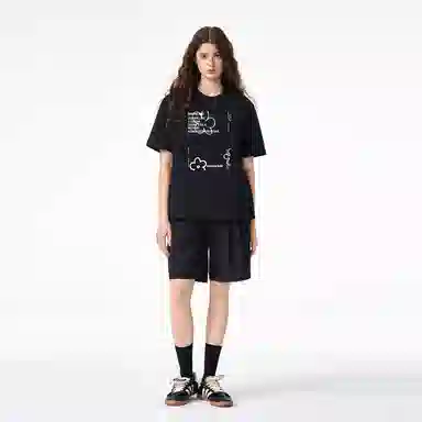 ICONS Lab ICS T