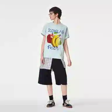 ICONS Lab ICS T
