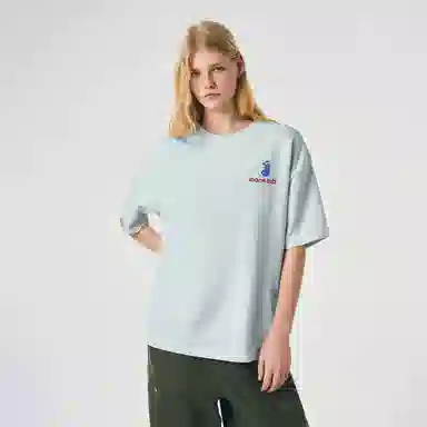ICONS Lab T