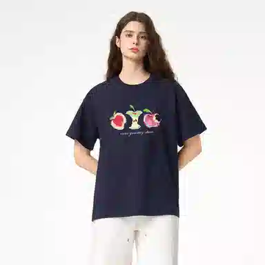 ICONS Lab ICS T