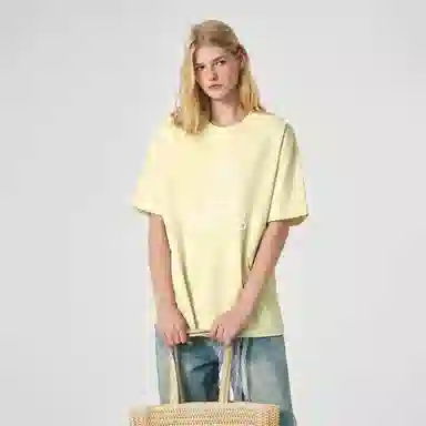 ICONS Lab T