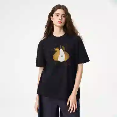 ICONS Lab ICS T