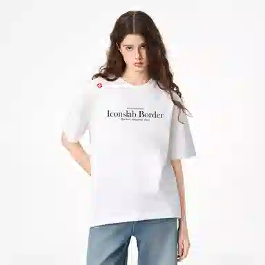 ICONS Lab ICS T