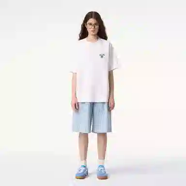 ICONS Lab ICS T