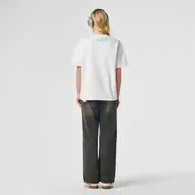 ICONS Lab ICS T