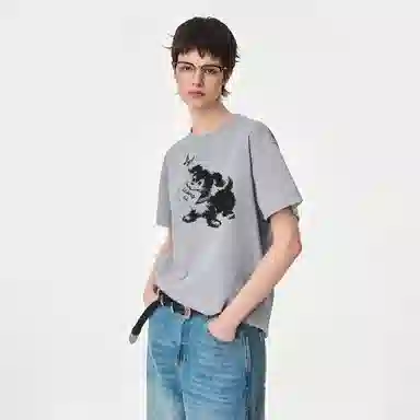 ICONS Lab ICS T