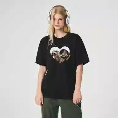 ICONS Lab ICS T