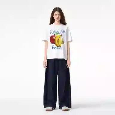 ICONS Lab ICS T