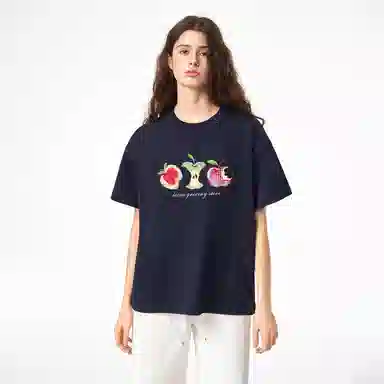 ICONS Lab ICS T