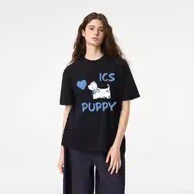 ICONS Lab ICS T