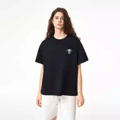 ICONS Lab ICS T