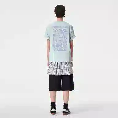 ICONS Lab ICS T