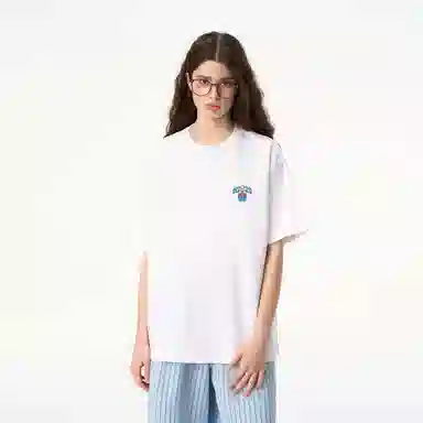 ICONS Lab ICS T