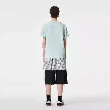 ICONS Lab ICS T