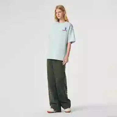 ICONS Lab T