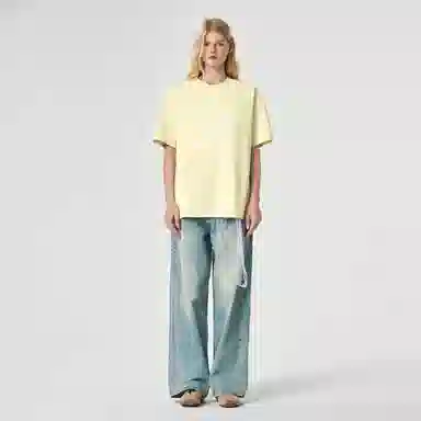 ICONS Lab T