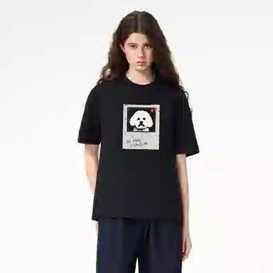 ICONS Lab ICS T