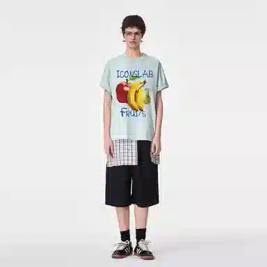 ICONS Lab ICS T